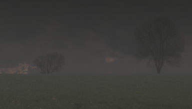 B-Brouillard-sur-la-prairie.jpg