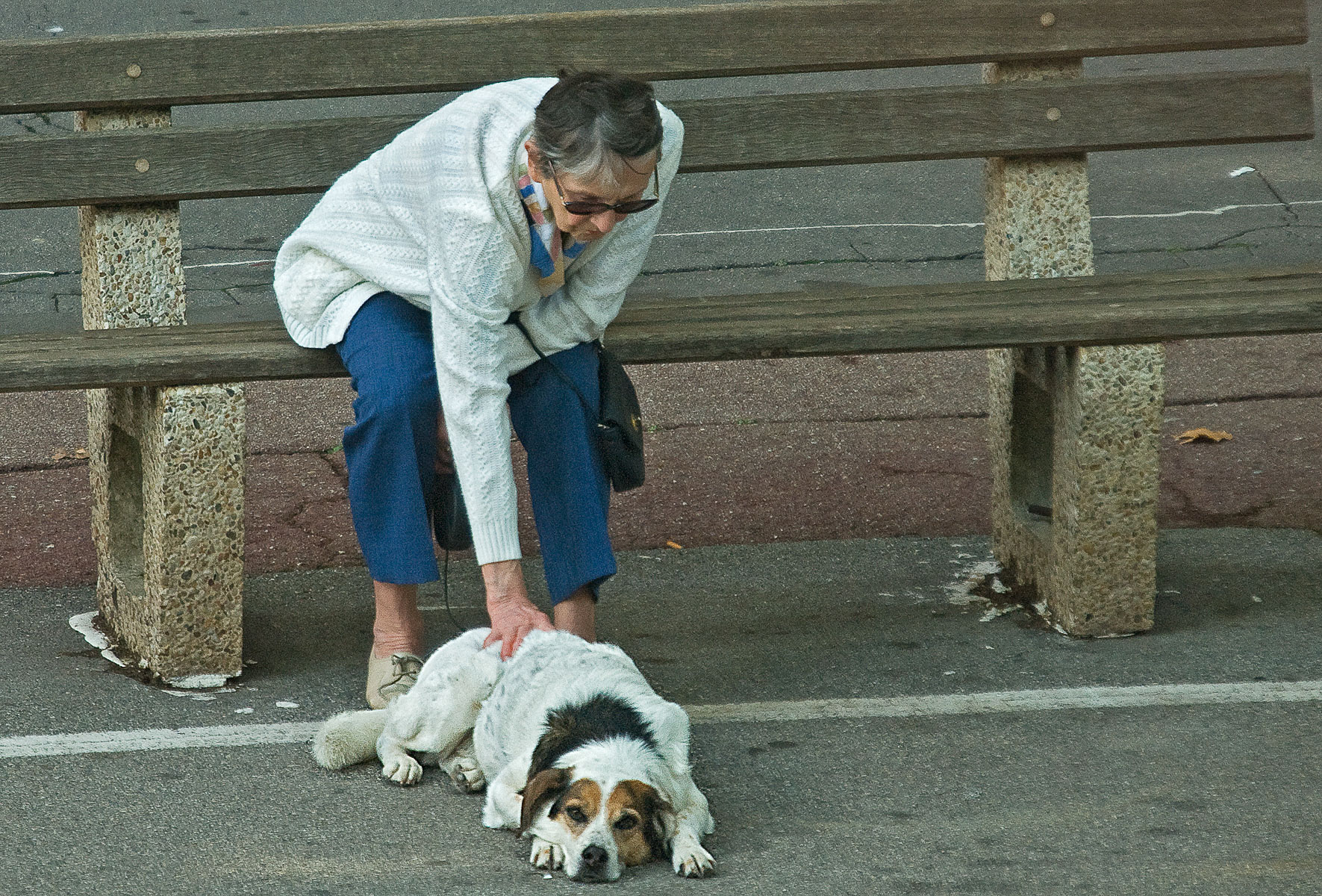 03_A01_Femme_caressant_son_chien.jpg